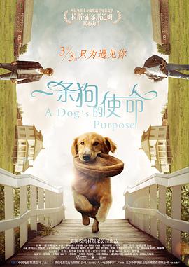 91精品一区二区三区久久久久
